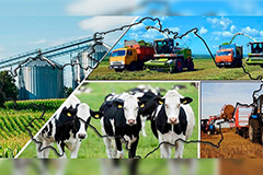 Сільське господарство